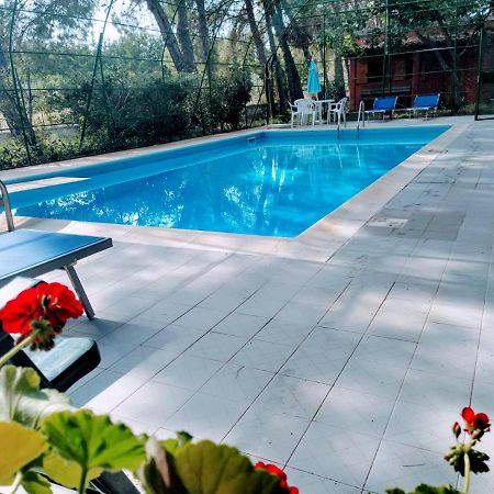 Agriturismo Valle Verde Altamura Dış mekan fotoğraf