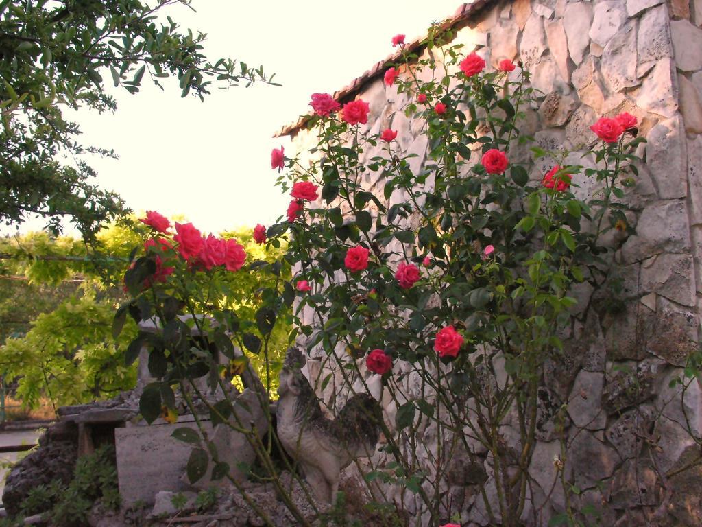 Agriturismo Valle Verde Altamura Dış mekan fotoğraf