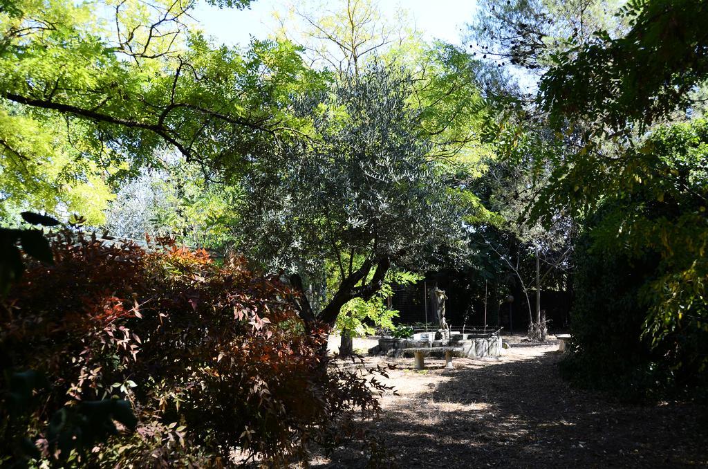 Agriturismo Valle Verde Altamura Dış mekan fotoğraf