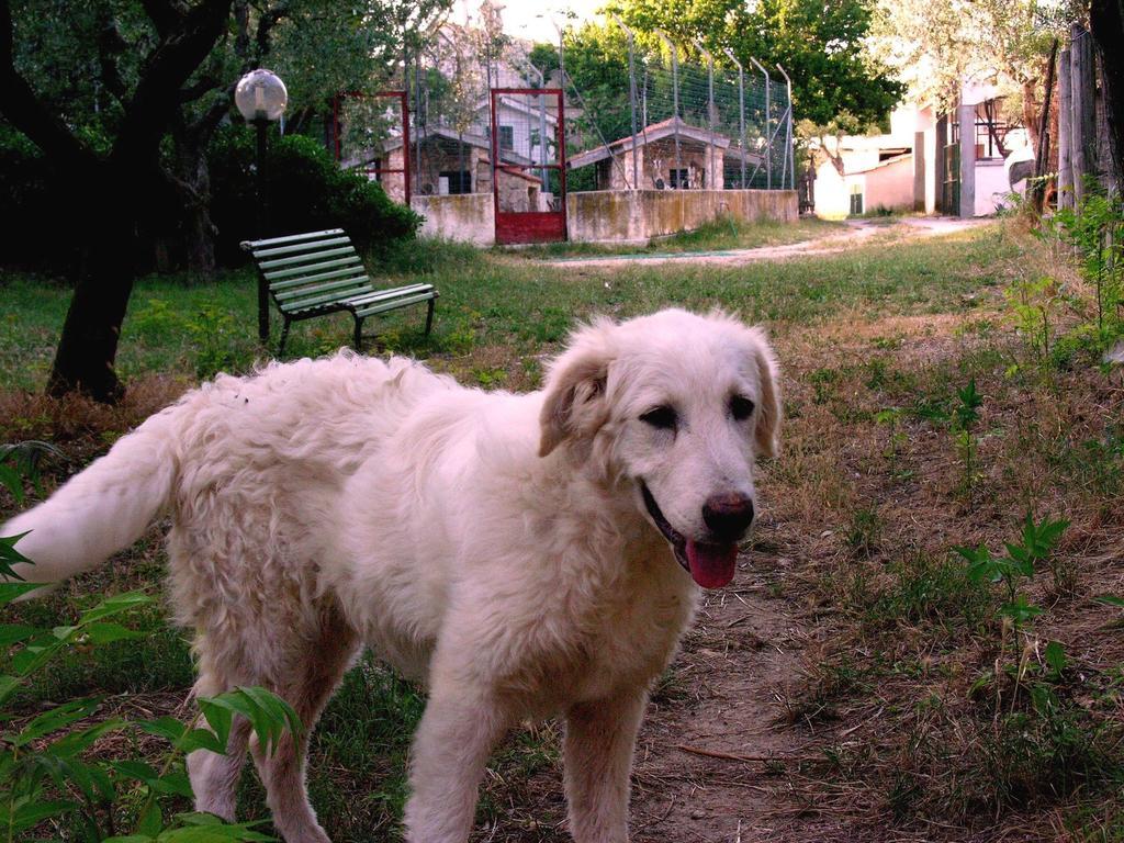 Agriturismo Valle Verde Altamura Dış mekan fotoğraf
