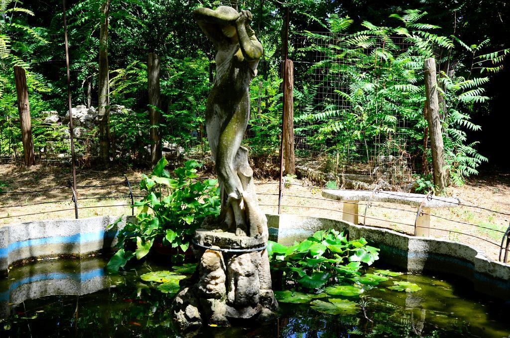 Agriturismo Valle Verde Altamura Dış mekan fotoğraf